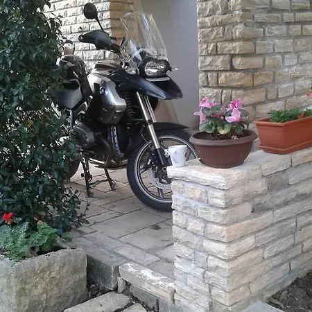 Albina Apartamento *