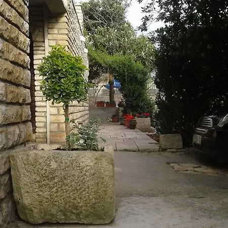 Albina Apartment *